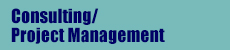 Consulting/Project Management